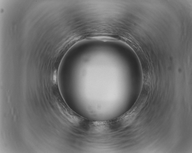 X0000088880095200706081252