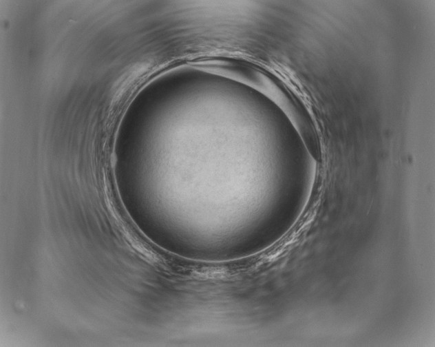 X0000088880097200706081251