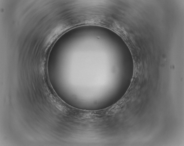 X0000088880098200706081251