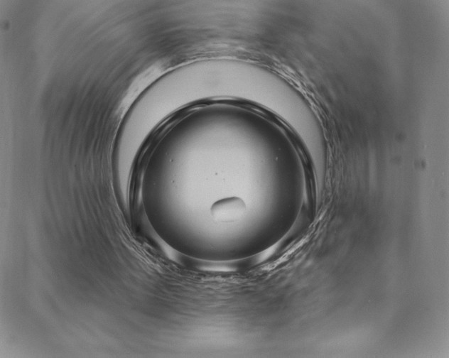 X0000088880099200706081251