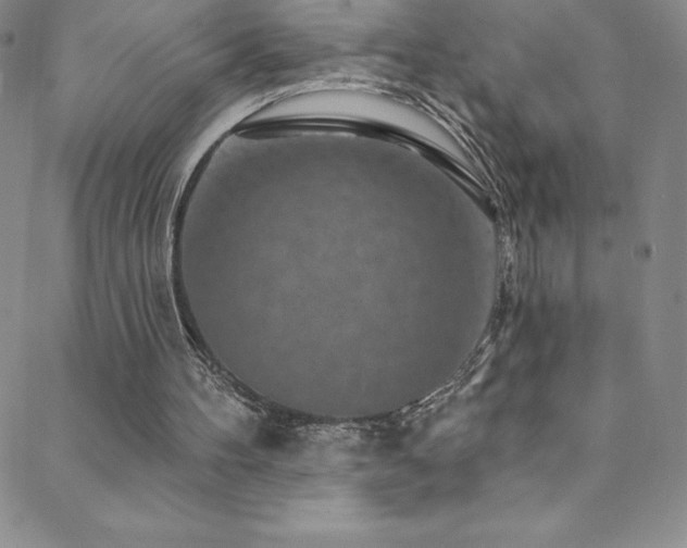 X0000088880100200706081251