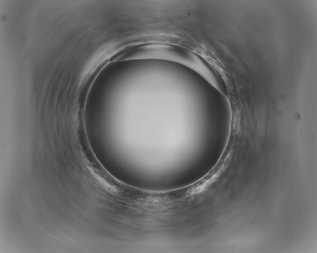 X0000088880101200706081251