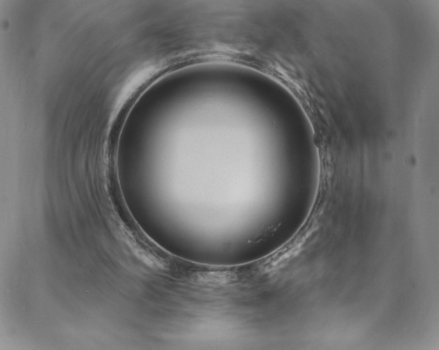 X0000088880102200706081251