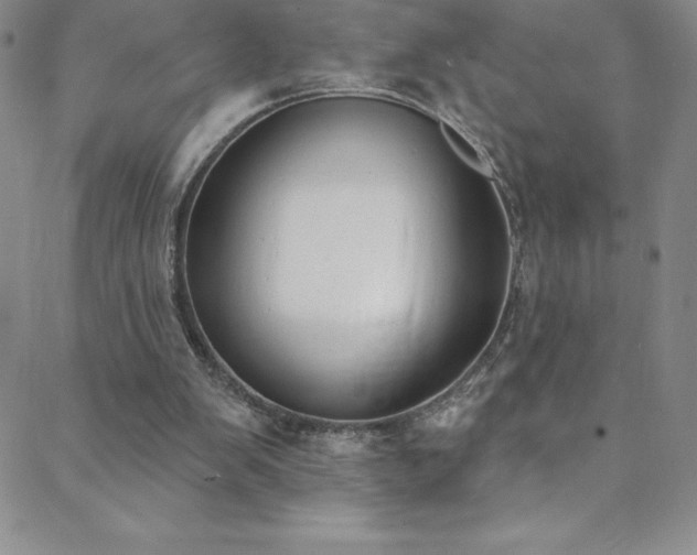 X0000088880103200706081251