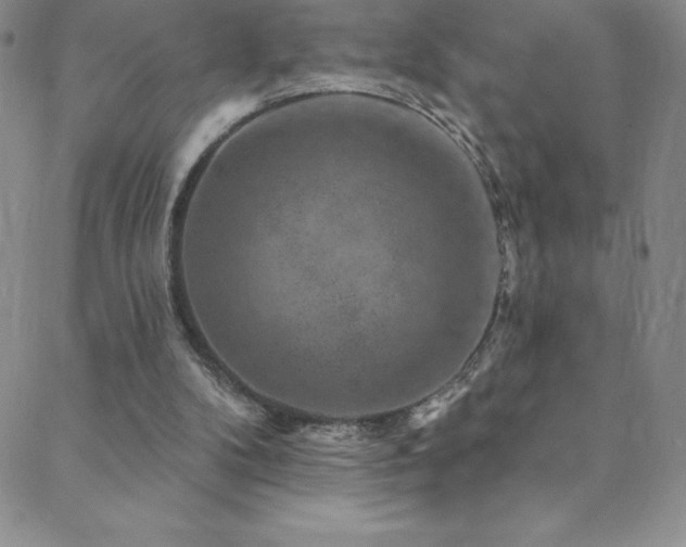 X0000088880104200706081251