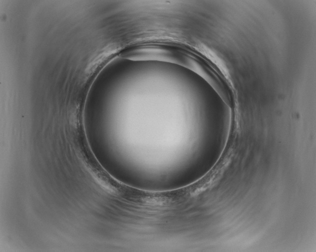 X0000088880105200706081251