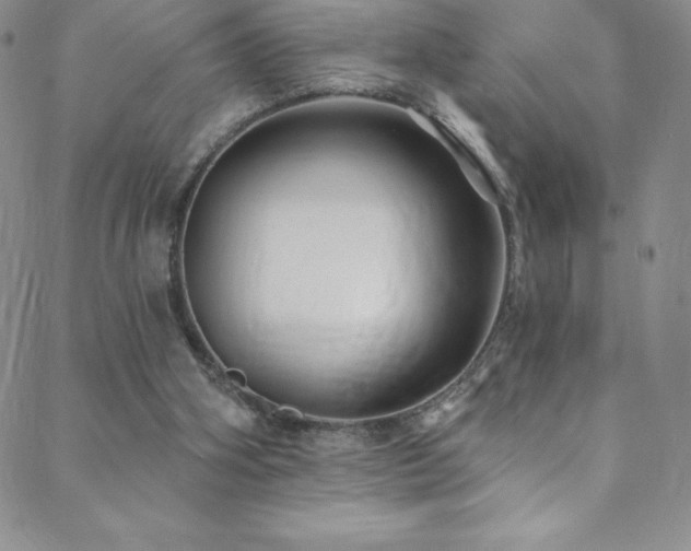 X0000088880106200706081251