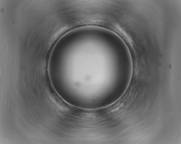 X0000088880107200706081251