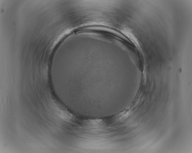 X0000088880108200706081251