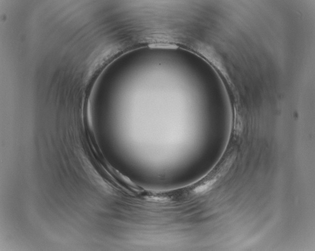 X0000088880109200706081251