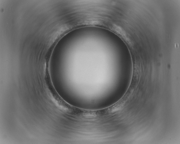 X0000088880110200706081251