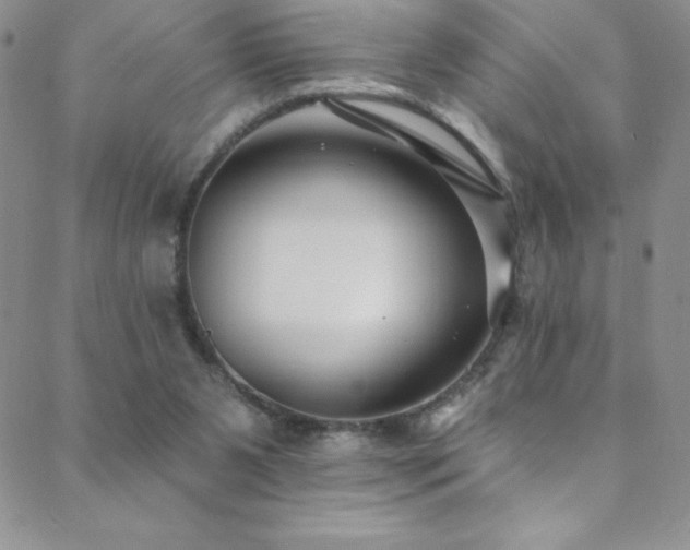 X0000088880111200706081251