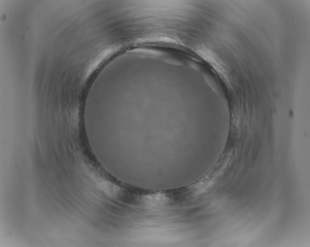 X0000088880112200706081251