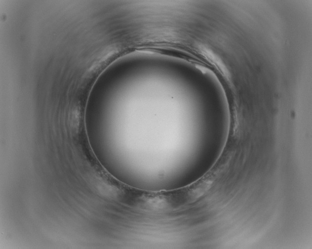 X0000088880113200706081251