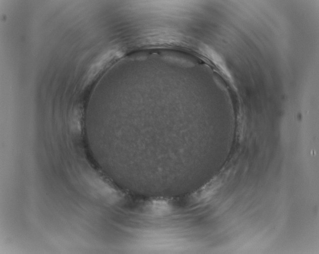 X0000088880114200706081251