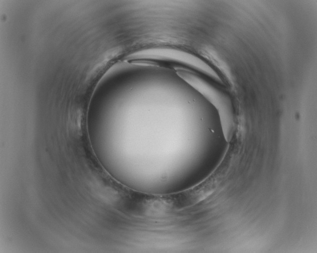 X0000088880115200706081251