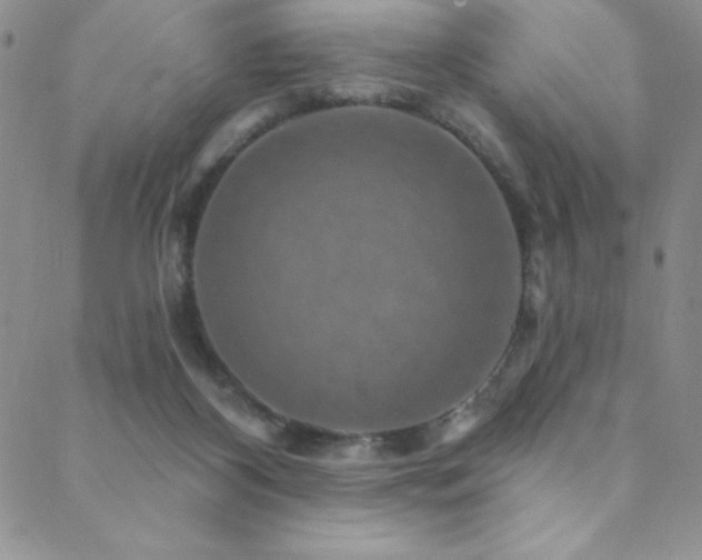 X0000088880116200706081251