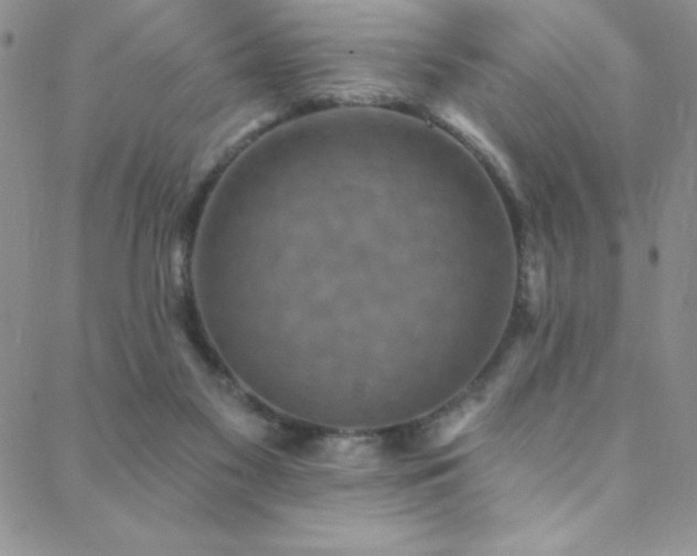 X0000088880117200706081251