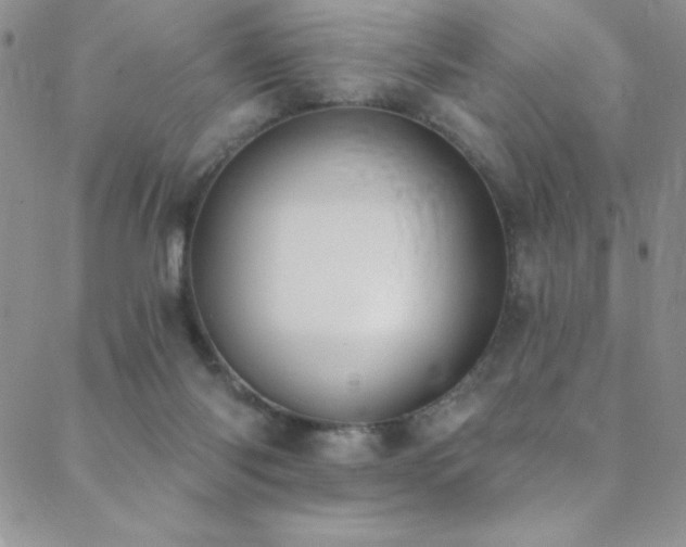 X0000088880118200706081251