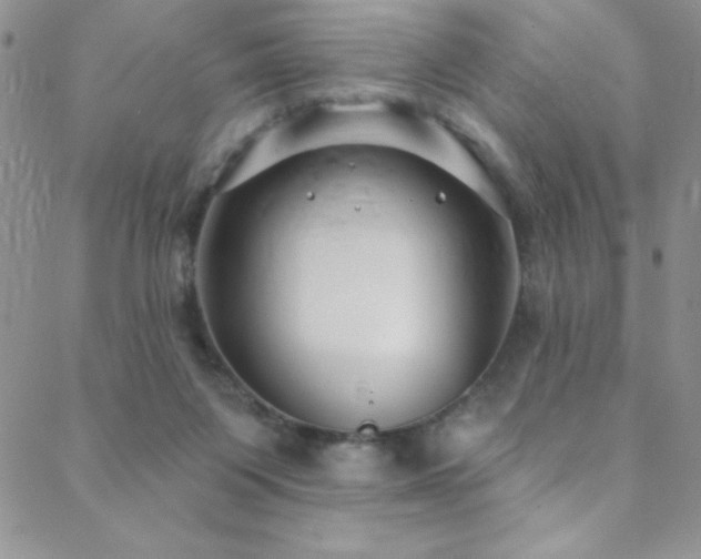 X0000088880119200706081251