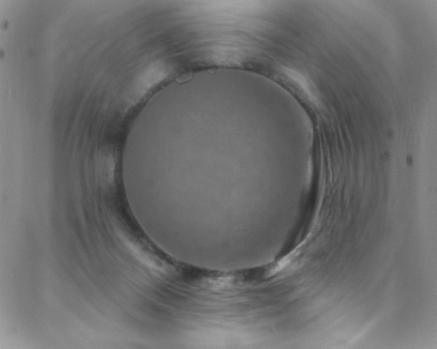 X0000088880120200706081251