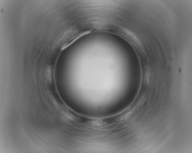 X0000088880121200706081251