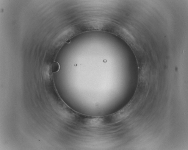 X0000088880122200706081251