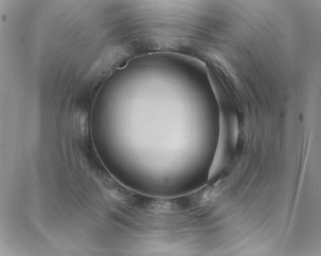 X0000088880123200706081251