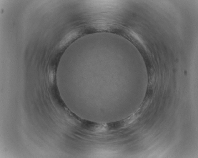 X0000088880124200706081250