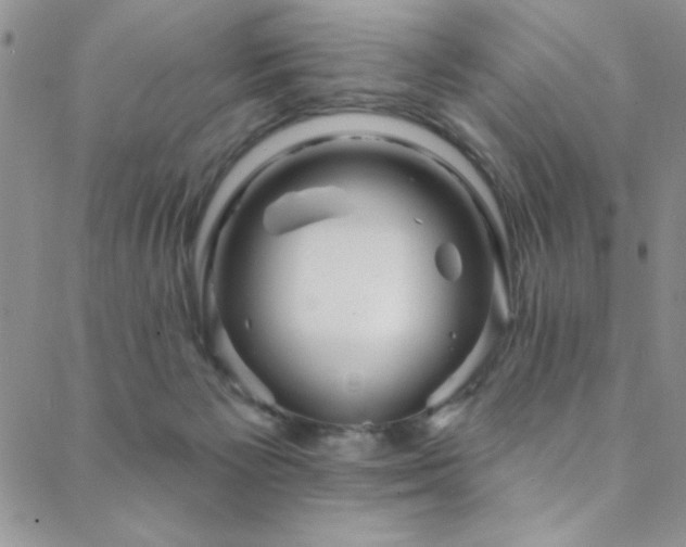 X0000088880125200706081250