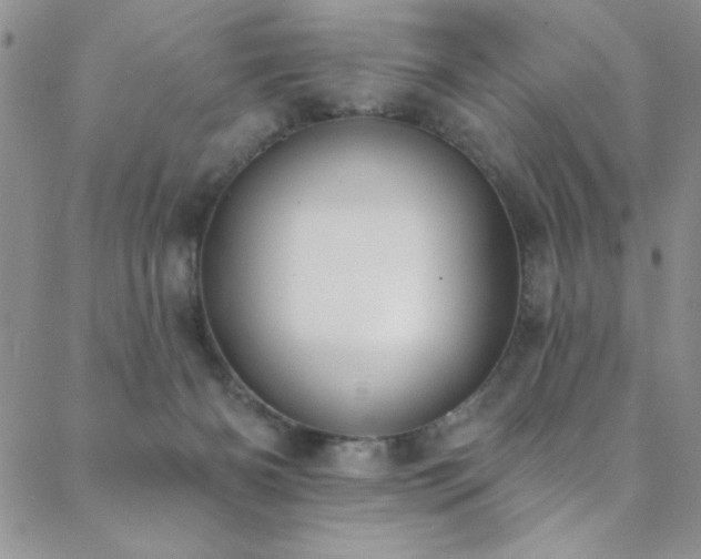 X0000088880126200706081250