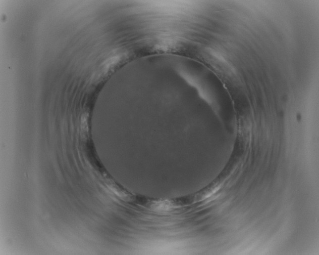 X0000088880127200706081250