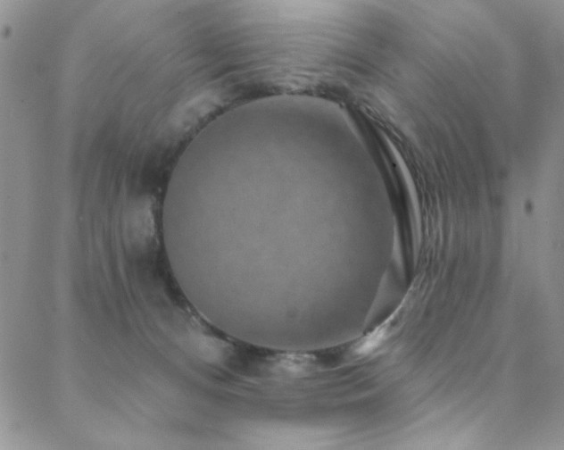 X0000088880128200706081250