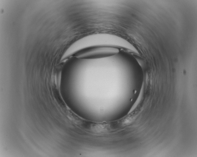 X0000088880129200706081250