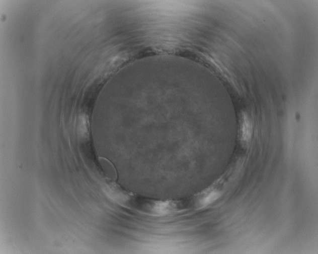 X0000088880130200706081250