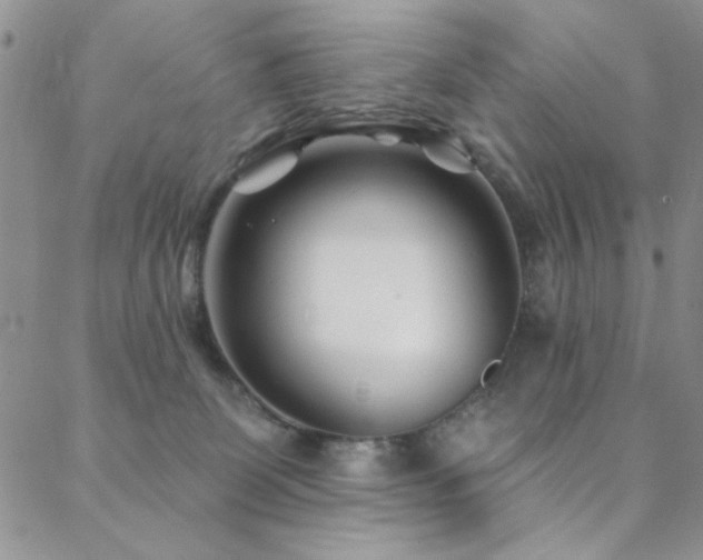 X0000088880131200706081250