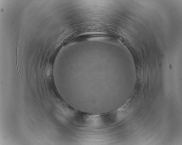 X0000088880132200706081250