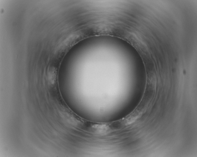 X0000088880133200706081250