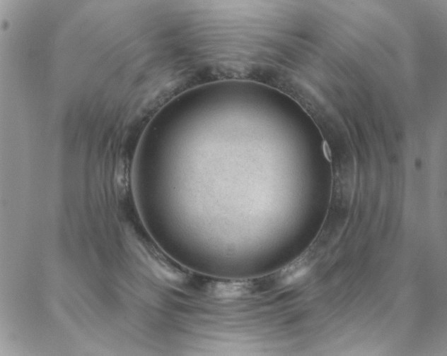 X0000088880134200706081250