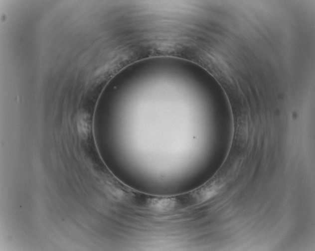 X0000088880135200706081250