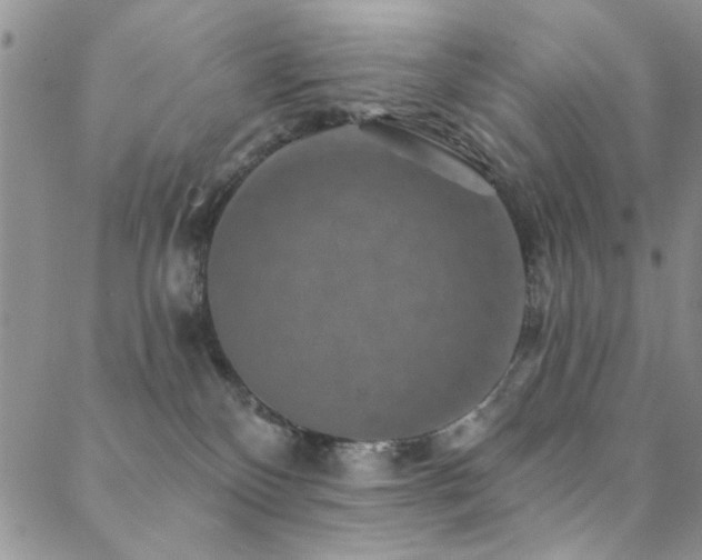 X0000088880136200706081250