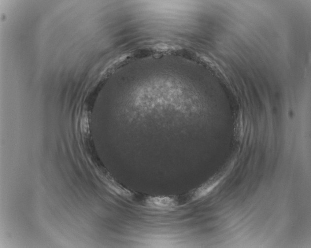 X0000088880137200706081250