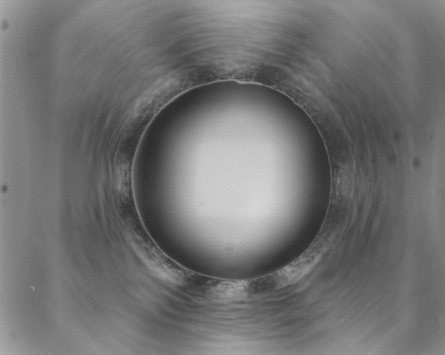 X0000088880138200706081250