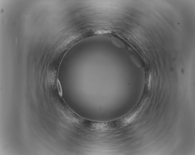 X0000088880139200706081250