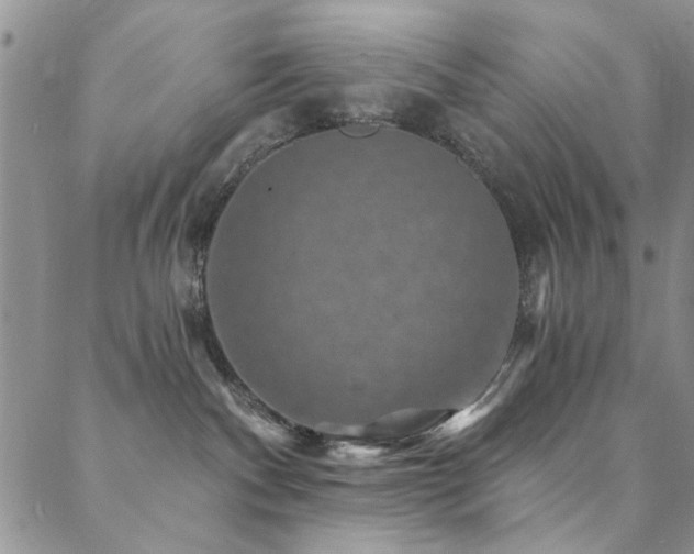 X0000088880140200706081250