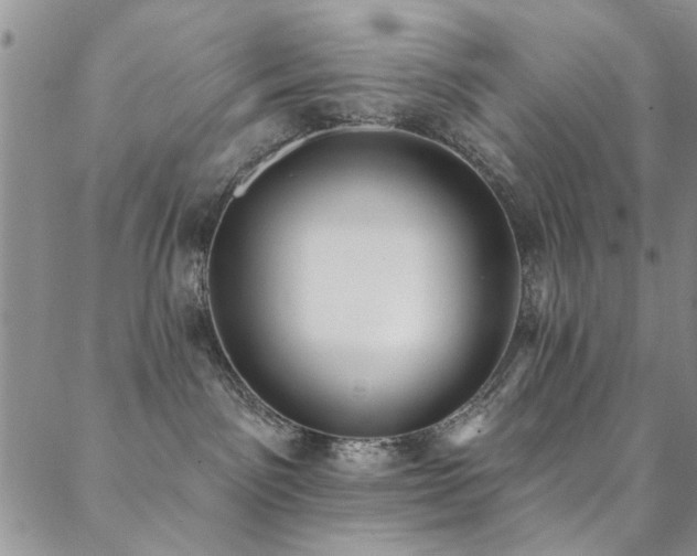 X0000088880141200706081250