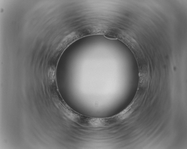 X0000088880142200706081250