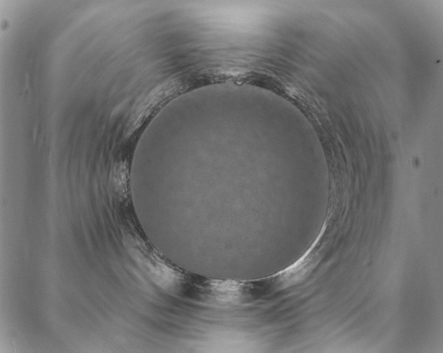 X0000088880144200706081250