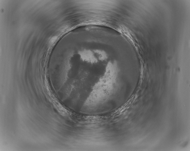 X0000088880145200706081249