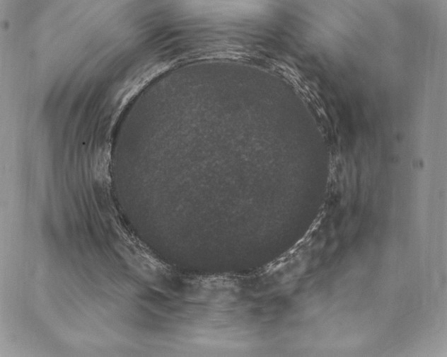 X0000088880146200706081249